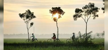 MENINGGAL SESUAI KEBIASAANYA