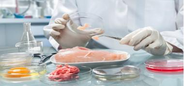 biaya uji lab makanan
